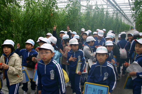 大浦小3年生の皆さん